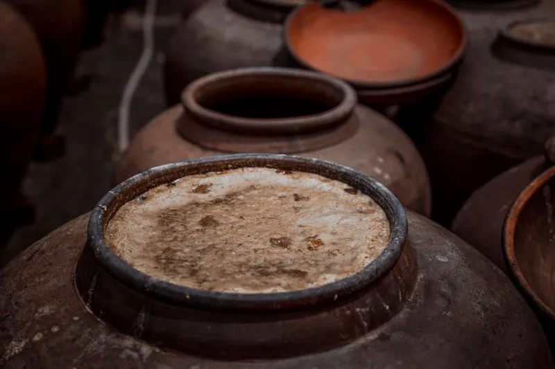 They Figured It Out Thousands of Years Ago: How Ancient Fermentation Got the Science Right Before the Scientists Did